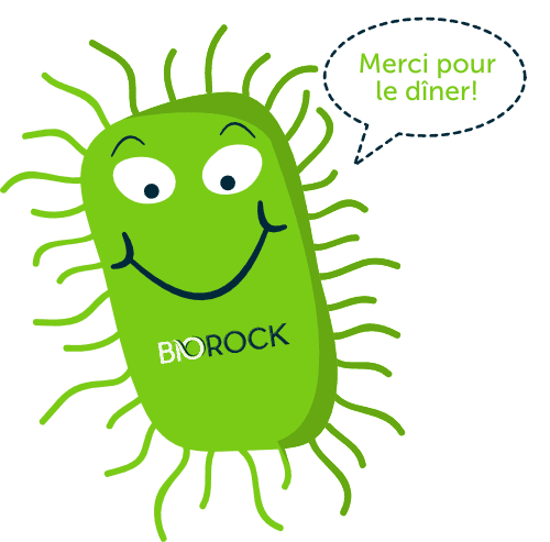 bactérie biorock