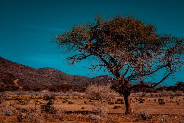 windhoek namibie