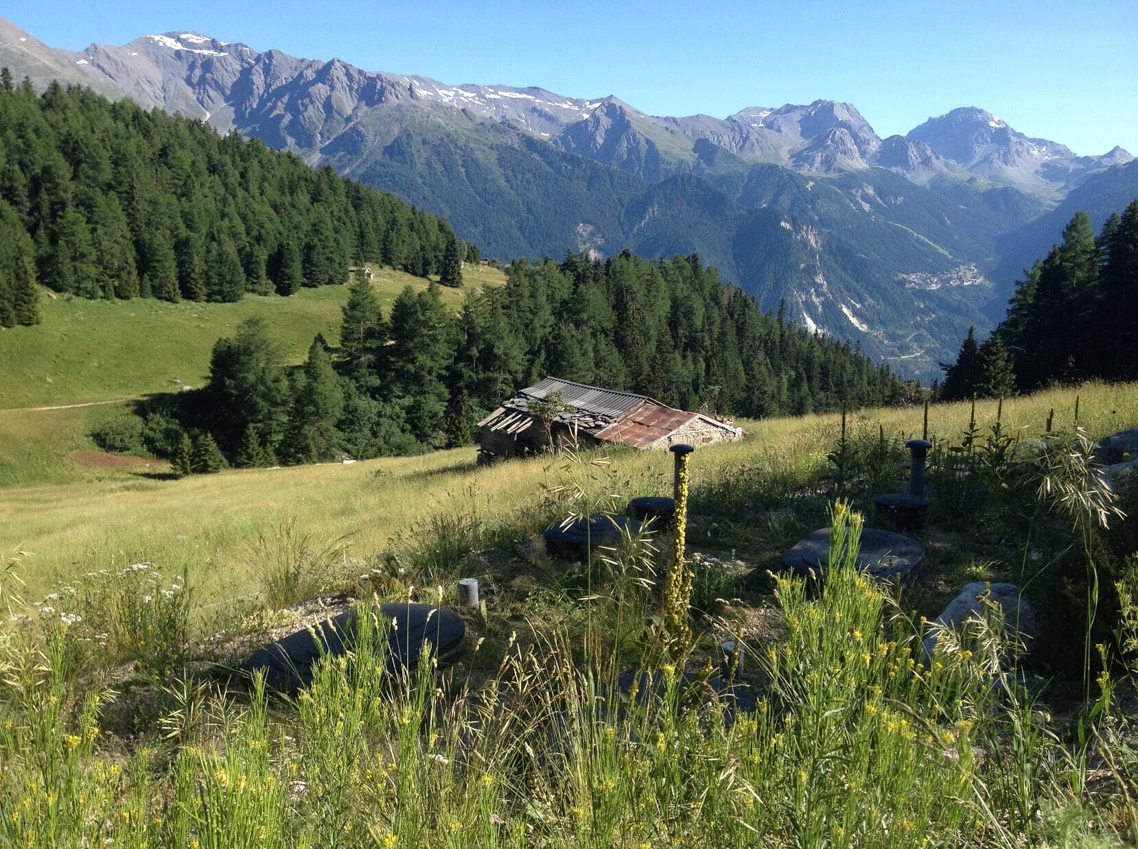 installation BIOROCK dans les Alpes en France